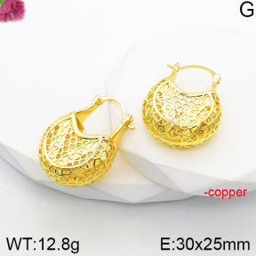 Fashion Copper Earrings  F5E200959bvpl-J165