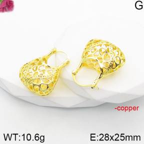 Fashion Copper Earrings  F5E200960vbpb-J165