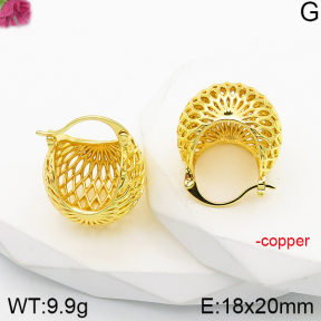 Fashion Copper Earrings  F5E200962vbnl-J165