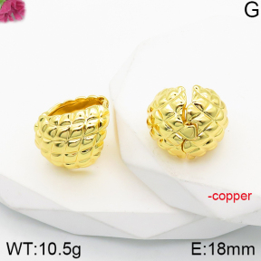 Fashion Copper Earrings  F5E200969vbnl-J165