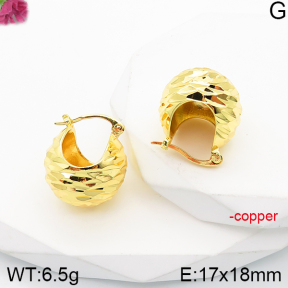Fashion Copper Earrings  F5E200972vbnl-J165