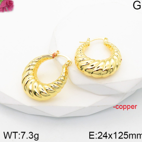 Fashion Copper Earrings  F5E200975bbov-J165