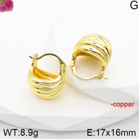 Fashion Copper Earrings  F5E200977vbnb-J165