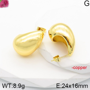 Fashion Copper Earrings  F5E200978vbmb-J165