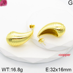 Fashion Copper Earrings  F5E200979vbnl-J165