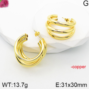 Fashion Copper Earrings  F5E200981vbnb-J165