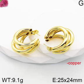 Fashion Copper Earrings  F5E200982vbnb-J165