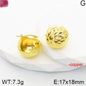 Fashion Copper Earrings  F5E200988vbnl-J165