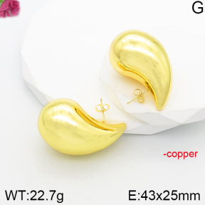 Fashion Copper Earrings  F5E200991bbml-J165