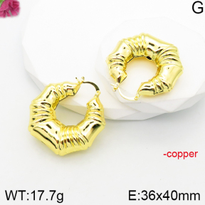 Fashion Copper Earrings  F5E200993bbov-J165