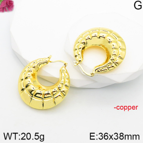 Fashion Copper Earrings  F5E200995vbpb-J165
