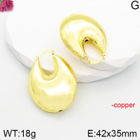 Fashion Copper Earrings  F5E200998bbov-J165