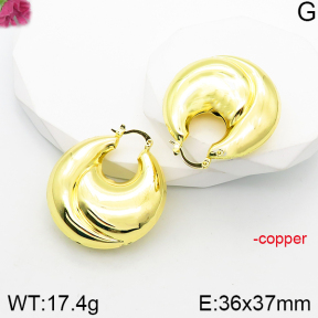 Fashion Copper Earrings  F5E200999bvpl-J165