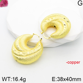 Fashion Copper Earrings  F5E201001bvpl-J165