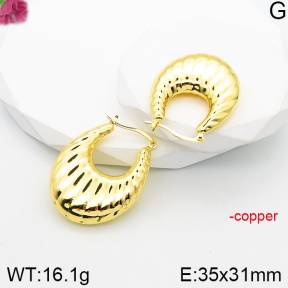 Fashion Copper Earrings  F5E201002bvpl-J165