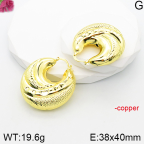 Fashion Copper Earrings  F5E201004bvpl-J165