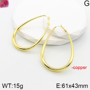 Fashion Copper Earrings  F5E201008vbnl-J165
