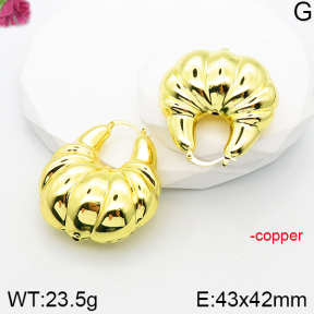 Fashion Copper Earrings  F5E201009bvpl-J165