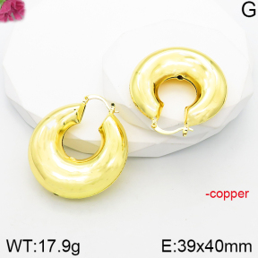 Fashion Copper Earrings  F5E201010bbov-J165