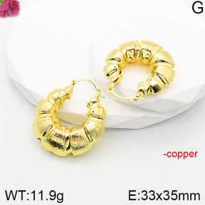 Fashion Copper Earrings  F5E201011vbpb-J165