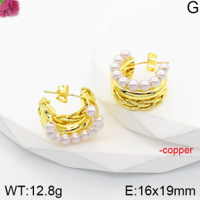 Fashion Copper Earrings  F5E300369bbov-J165