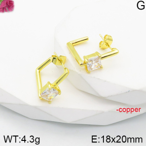 Fashion Copper Earrings  F5E401533bbov-J165