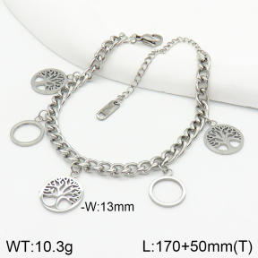 Stainless Steel Bracelet  2B2002429vbnl-499