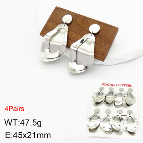 Stainless Steel Earrings  2E2002752ajka-499