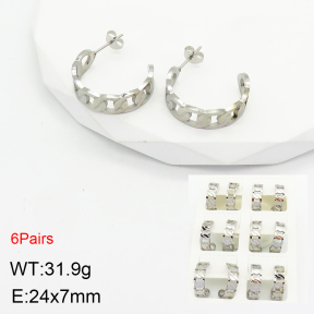 Stainless Steel Earrings  2E2002754akia-499