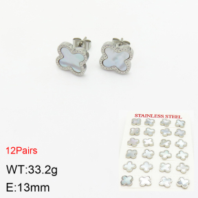 Stainless Steel Earrings  2E3001730alka-499