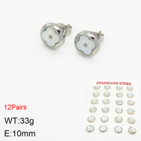 Stainless Steel Earrings  2E3001735bnib-499