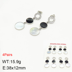 Stainless Steel Earrings  2E3001742ajia-499