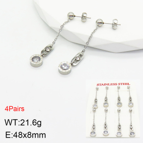 Stainless Steel Earrings  2E4002743aiov-499