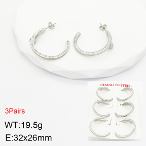 Stainless Steel Earrings  2E4002754ajvb-499
