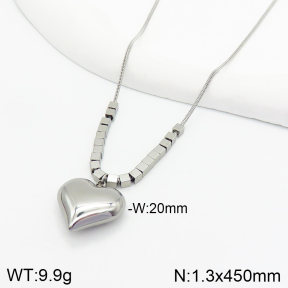 Stainless Steel Necklace  2N2003530bhia-499