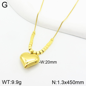 Stainless Steel Necklace  2N2003531ahjb-499