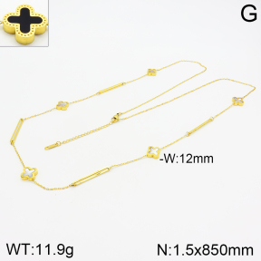 Stainless Steel Necklace  2N4002417ahlv-499