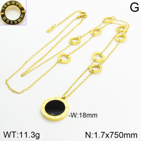 Stainless Steel Necklace  2N4002419ahjb-499