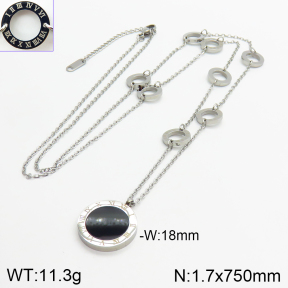Stainless Steel Necklace  2N4002420vhha-499