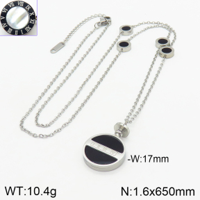 Stainless Steel Necklace  2N4002421ahjb-499