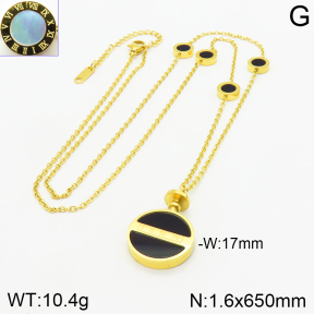 Stainless Steel Necklace  2N4002422ahlv-499