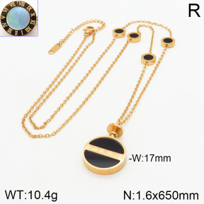 Stainless Steel Necklace  2N4002423ahlv-499