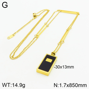 Stainless Steel Necklace  2N4002429vhnv-499