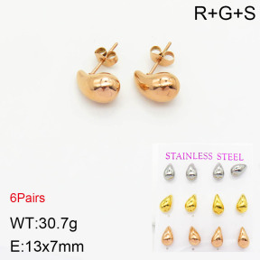Stainless Steel Earrings  2E2002759vihb-436