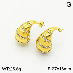 Stainless Steel Earrings  2E4002799ahlv-649