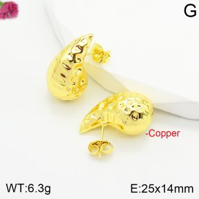 Fashion Copper Earrings  F2E200525vbmb-J40