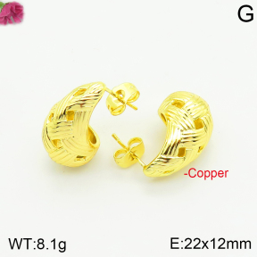 Fashion Copper Earrings  F2E200532vbnb-J40