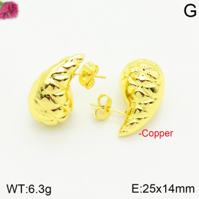 Fashion Copper Earrings  F2E200533vbnb-J40