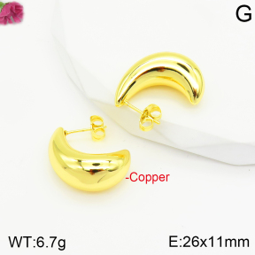 Fashion Copper Earrings  F2E200537vbnb-J40