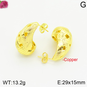 Fashion Copper Earrings  F2E200538vbnb-J40